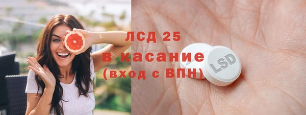 сатива Абинск