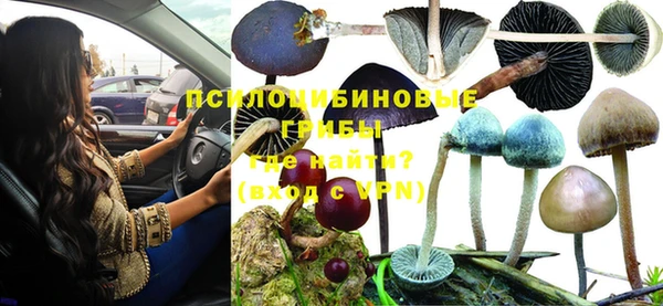 сатива Абинск