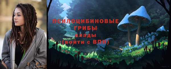 сатива Абинск